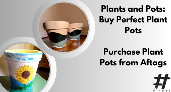 Plants and Pots: Buy Perfect Plant Pots for Your Home at Aftags Plants and Pots: Buy Perfect Plant Pots for Your Home at Aftags